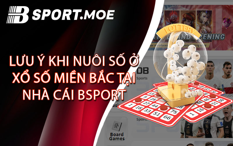 Lưu Ý Khi Nuôi Số Ở Xổ Số Miền Bắc Tại Nhà Cái Bsport